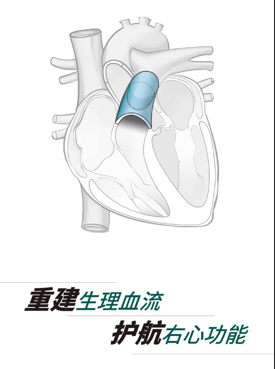 香港新版挂牌之全篇