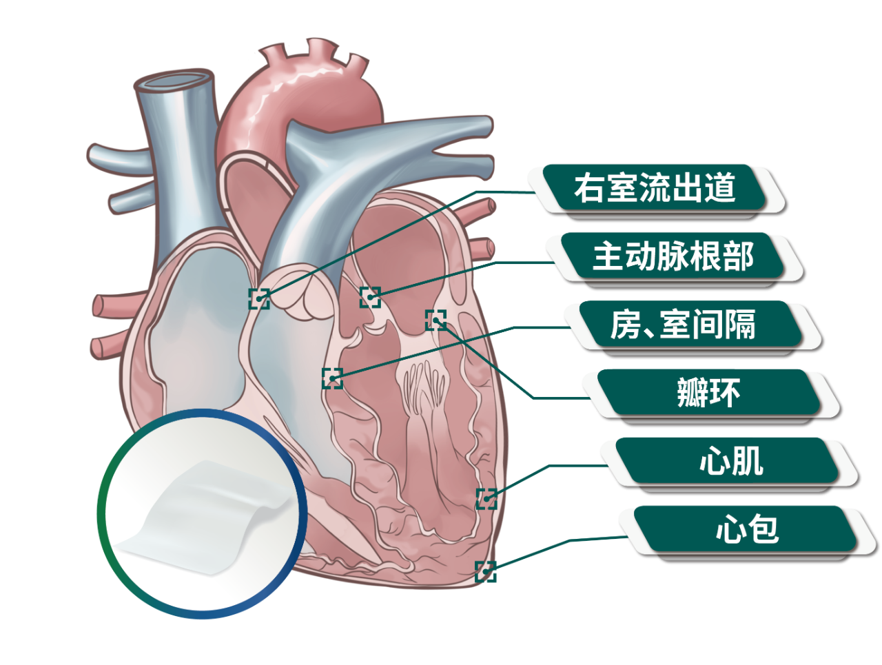 香港新版挂牌之全篇