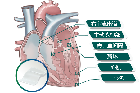 香港新版挂牌之全篇