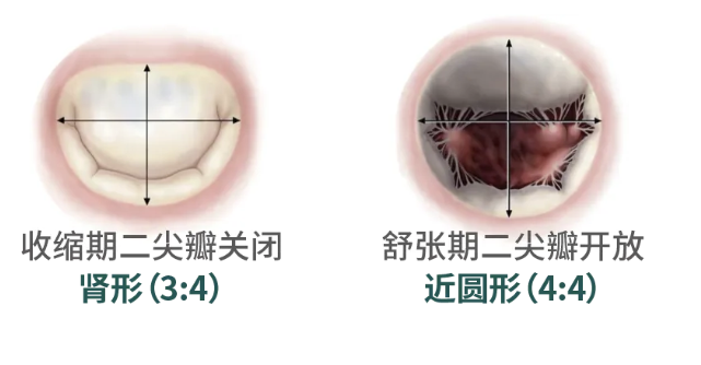 香港新版挂牌之全篇