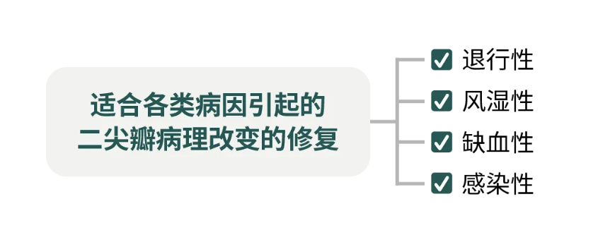 香港新版挂牌之全篇