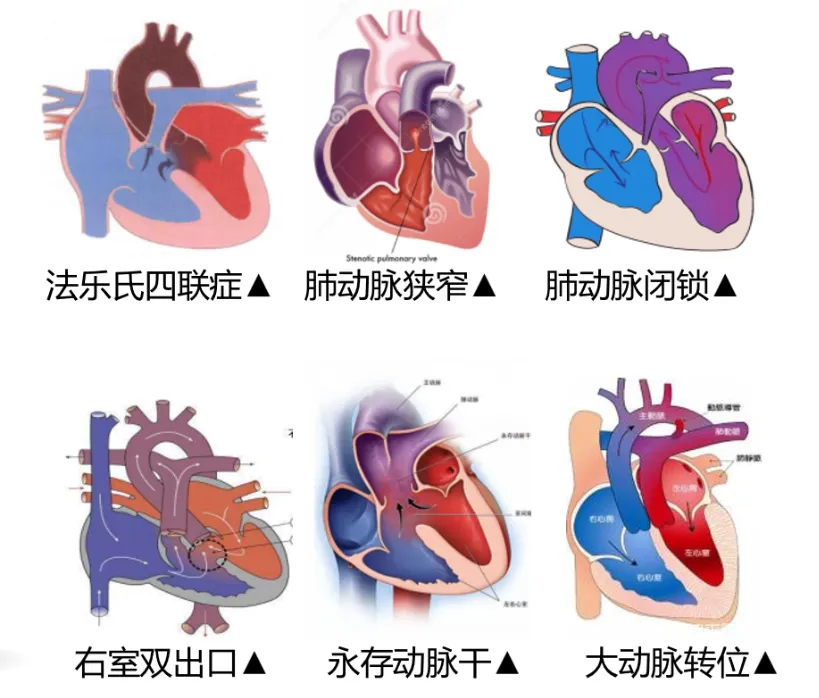 香港新版挂牌之全篇