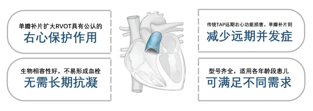 香港新版挂牌之全篇