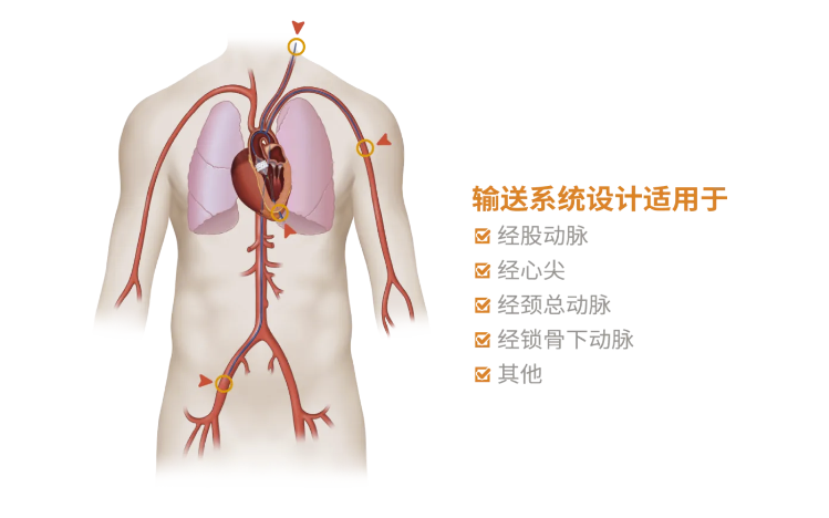 香港新版挂牌之全篇